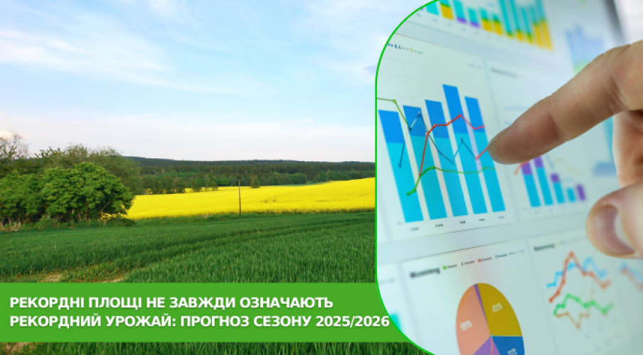 Аналитика: площади, урожай, цены, экспорт в Черноморском и Дунайском регионах