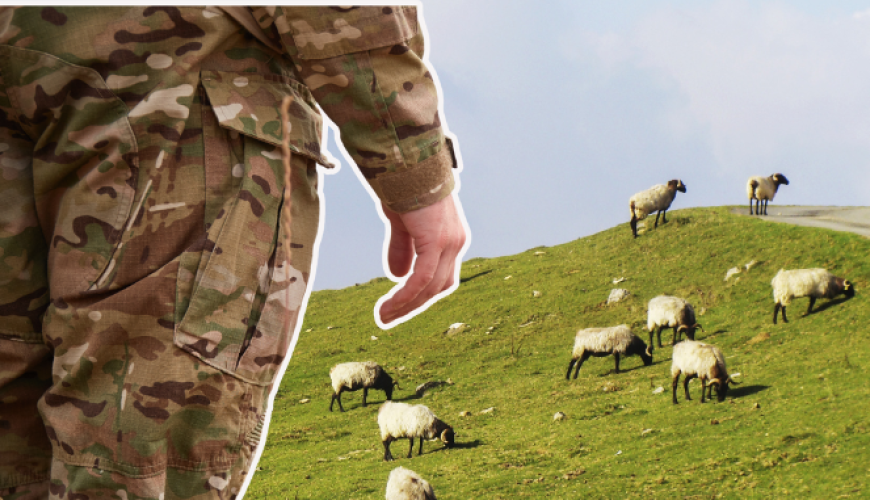 Овцеводство для ВСУ. Как отрасль…