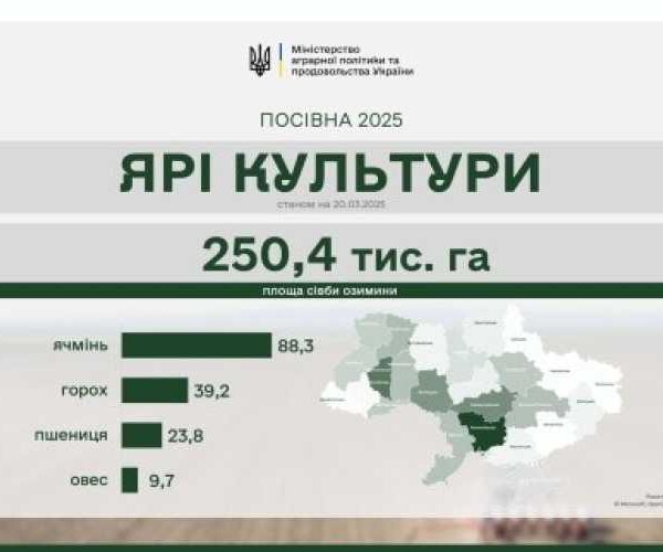 Ярі зернові сіють уже у 19 областях України