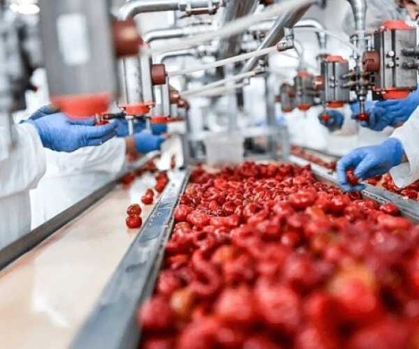 Ще 22 підприємства отримають гранти на розвиток переробної промисловості