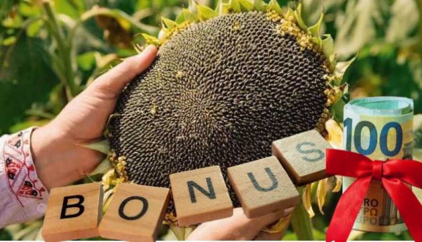 Уникальная привлекательность высокоолеинового подсолнечника: получат…