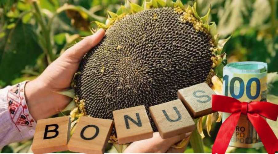 Уникальная привлекательность высокоолеинового подсолнечника: получат ли аграрии рекордные премии в новом сезоне