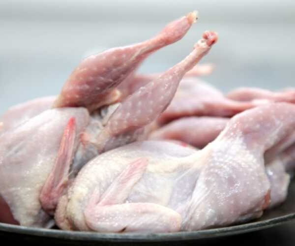 Продукция птицеводства будет поставляться на рынки Азии вместо ЕС