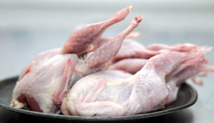 Продукция птицеводства будет поставляться на…