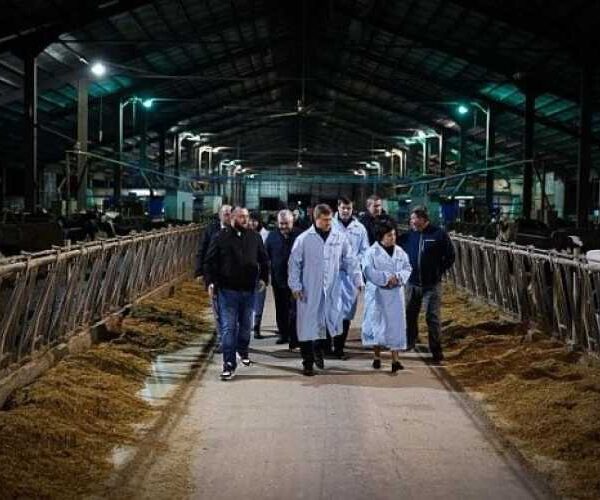 Сільськогосподарське підприємство на Київщині розширює виробництво