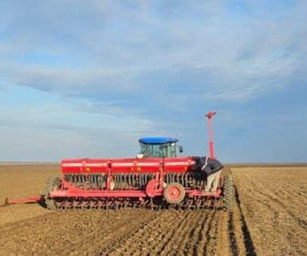 Через похолодання посівна зупинилась майже на тиждень, – заступник міністра