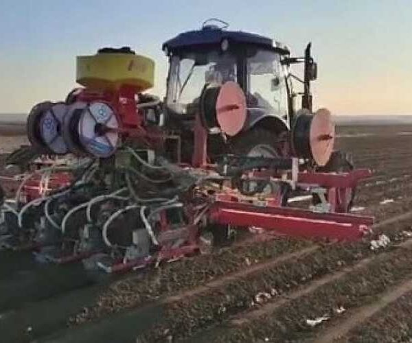Група компаній «ПАЕК» розпочала сіяти ранні овочі