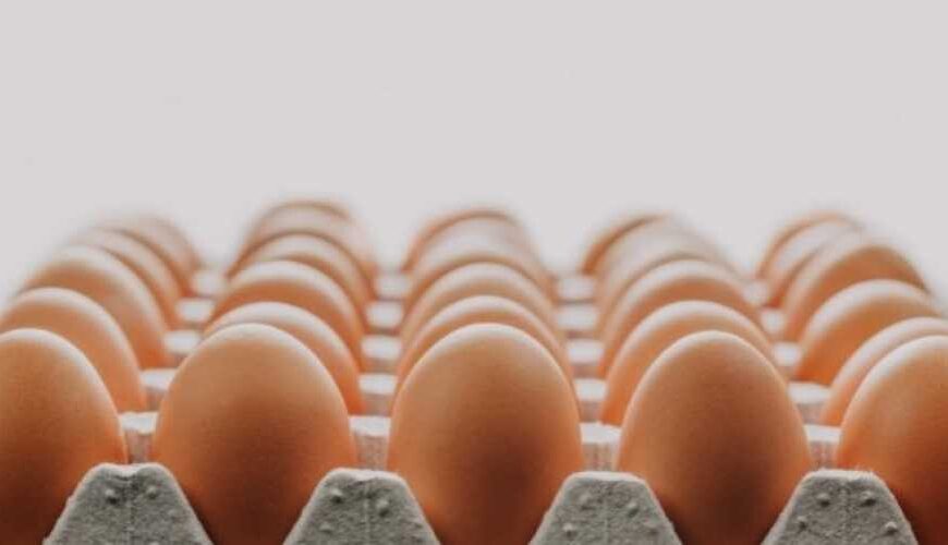 Антимонопольный комитет дал рекомендации производителям…