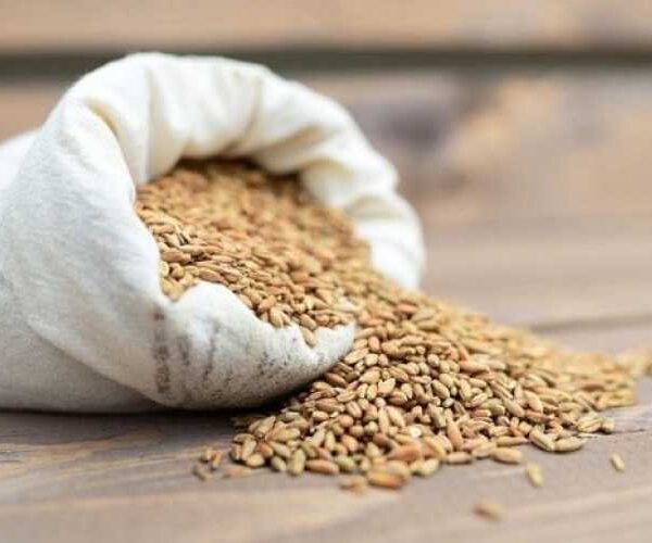 Польща не підтримує повернення довоєнних квот на імпорт агропродукції з України