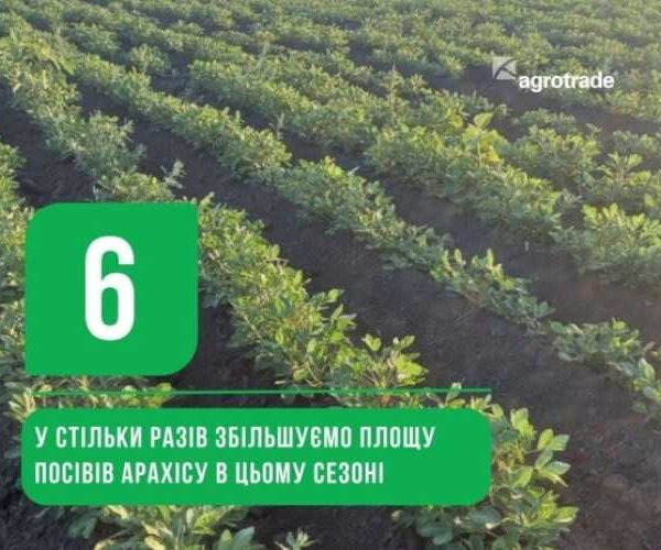 Група АГРОТРЕЙД збільшує площі посіву арахісу в шість разів