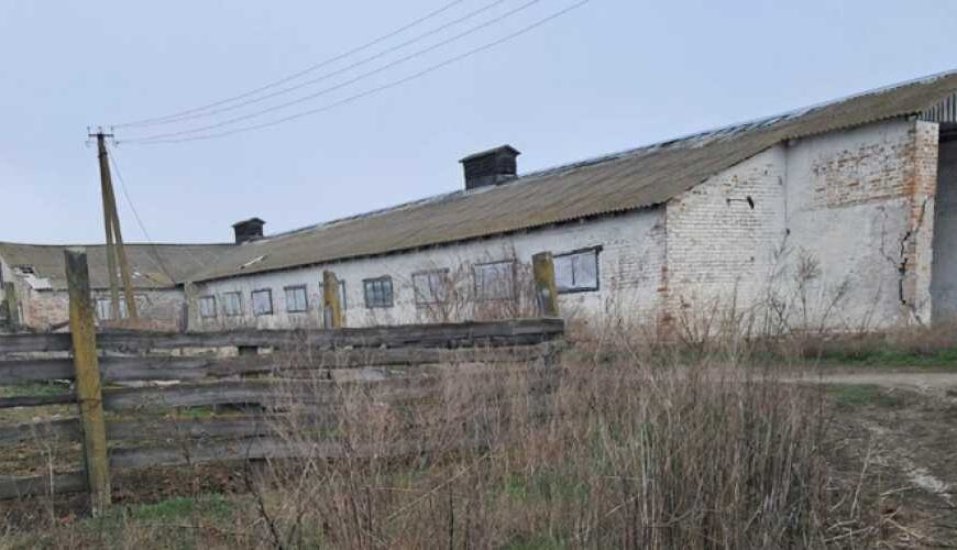 На Сумщине телятник предлагают в…