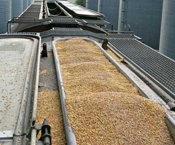 Логістика агроекспорту: лютневі показники