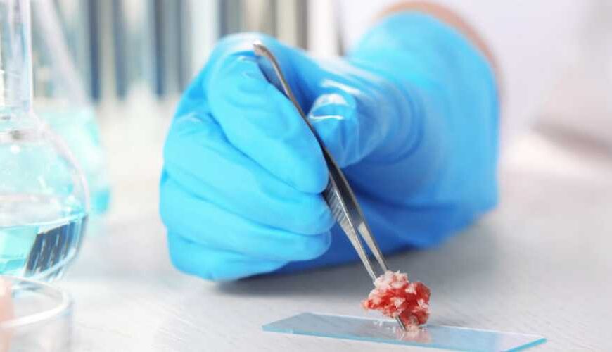 Лабораторное мясо и молочные продукты через два года станут реальностью