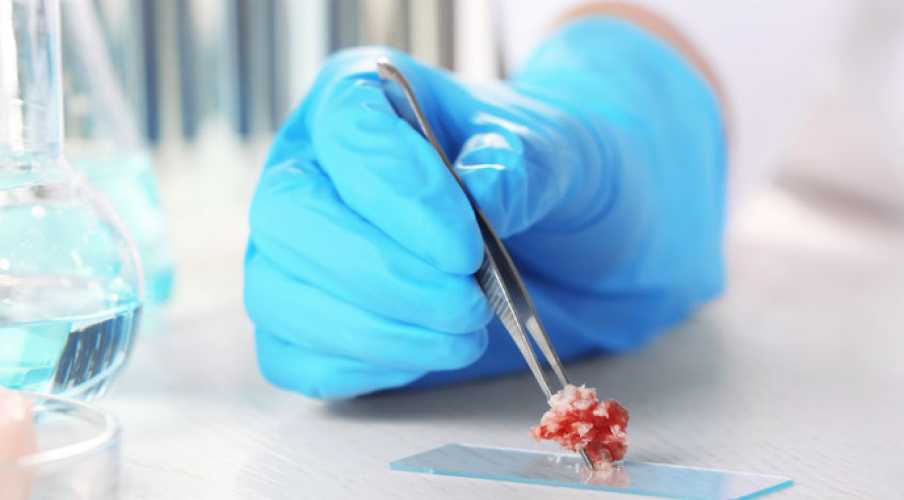 Лабораторное мясо и молочные продукты через два года станут реальностью