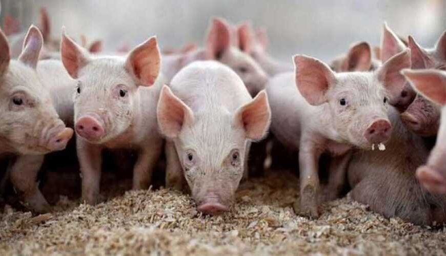 В Украине планируется внедрить механизм&hellip;