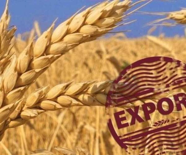 Затверджено мінімальні ціни на експорт агропродукції у березні 2025 року