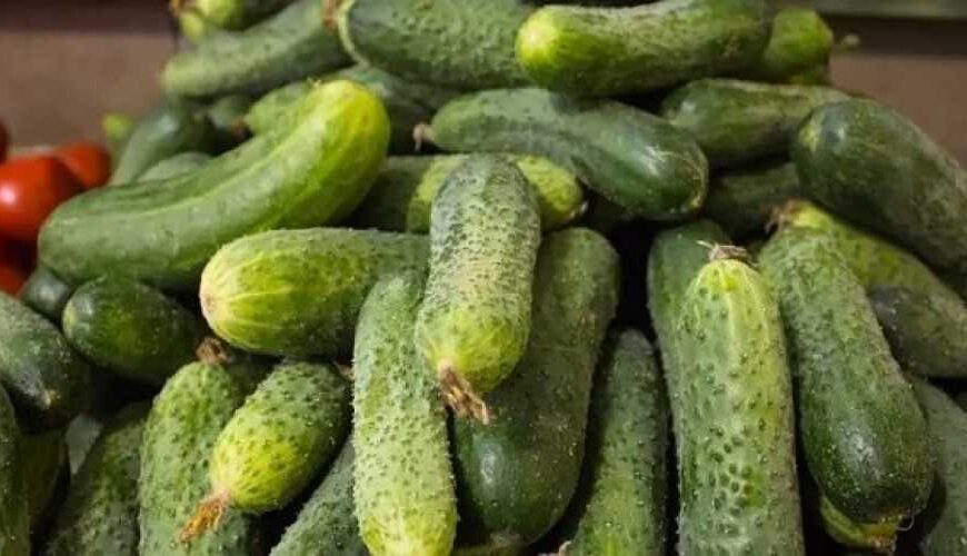 Тепличні огірки дешевшають