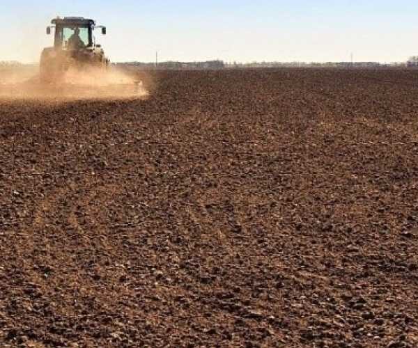 В Україні стартувала весняна посівна: які культури сіють аграрії