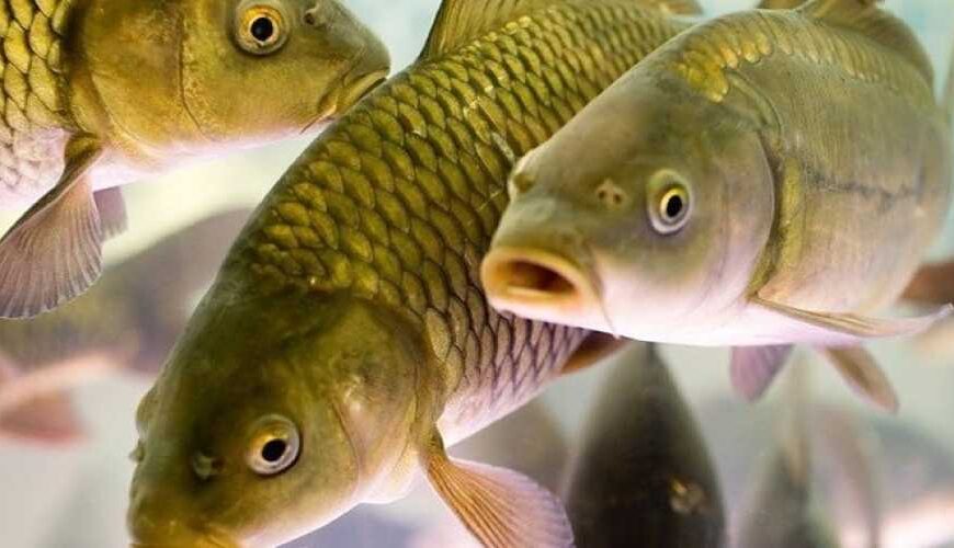 Рада поддержала законопроект о привлечении&hellip;