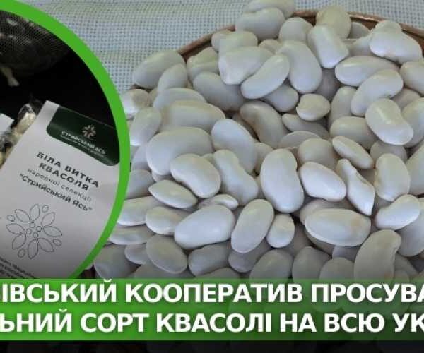 Как львовский кооператив продвигает локальный сорт фасоли на всю Украину