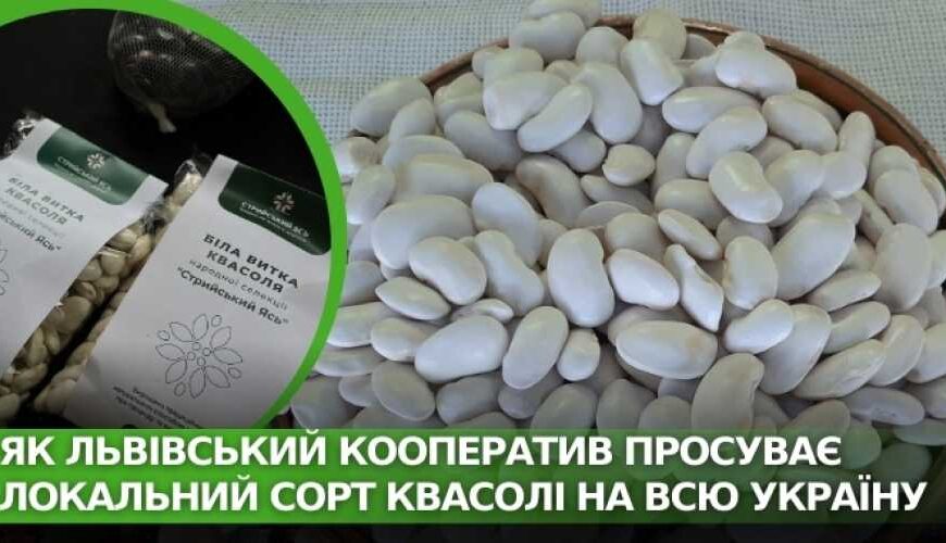 Как львовский кооператив продвигает локальный&hellip;