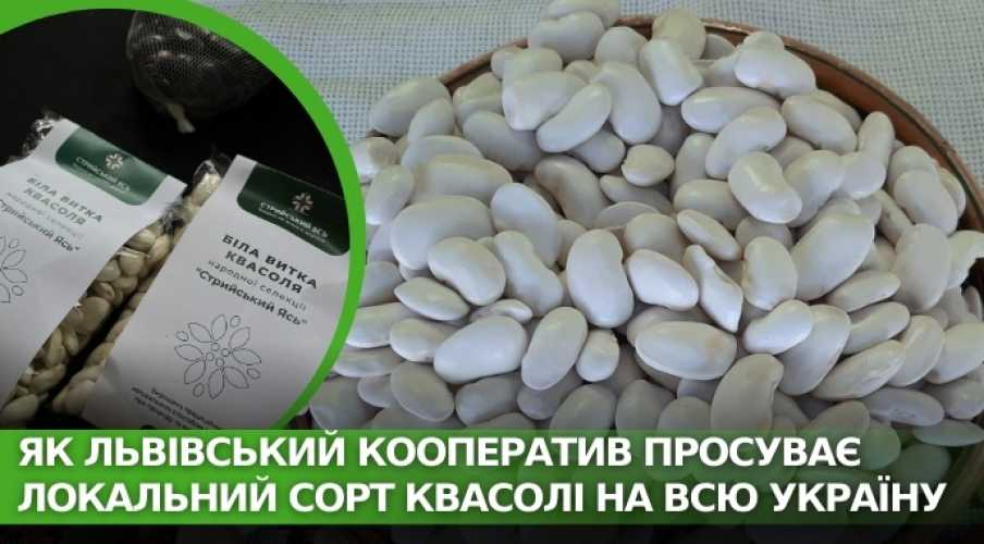Как львовский кооператив продвигает локальный сорт фасоли на всю Украину