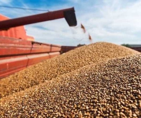 Україна скоротила експорт зерна