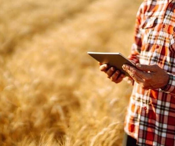 Kernel увійшов в ТОП-5 українських компаній із найбільшими IT-відділами