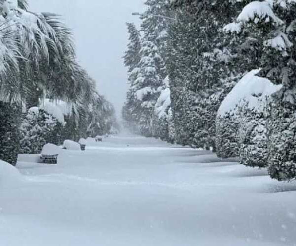 Негода затримує імпорт продовольства в Грузію