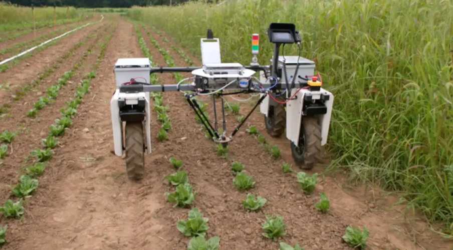 Феникс Бот: представлен инновационный робот для прополки посевов