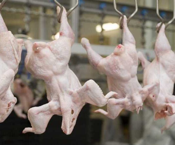 Распределены неиспользованные квоты на экспорт мяса птицы в ЕС