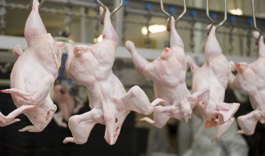 Распределены неиспользованные квоты на экспорт&hellip;