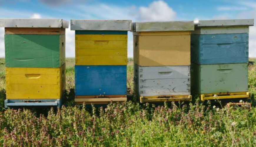 80-99% к урожайности добавляет опыление&hellip;