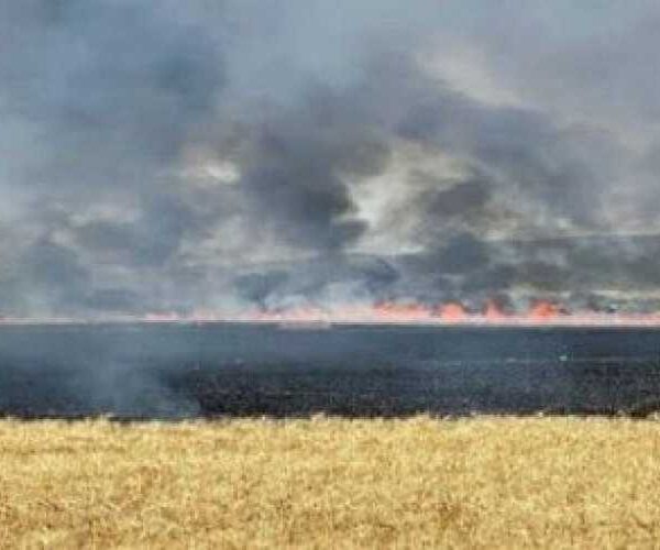 Міністр аграрної політики Віталій Коваль: прямі збитки агросектору від війни перевищили $11 млрд