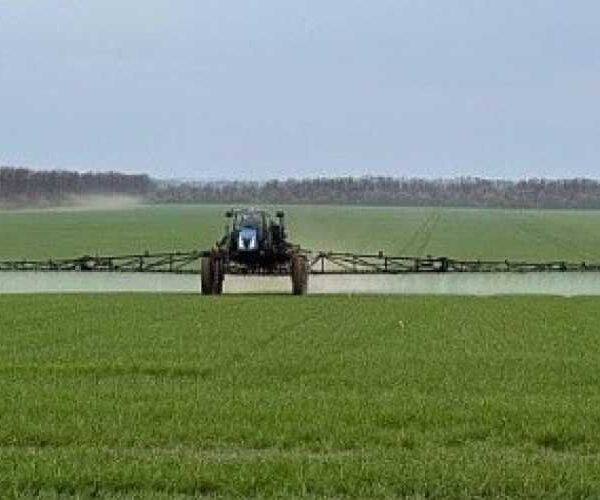 Agrotrade завершив перший етап обробки озимої пшениці