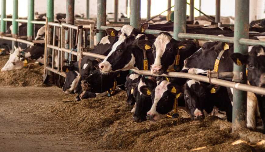 В Украине строится или модернизируется…