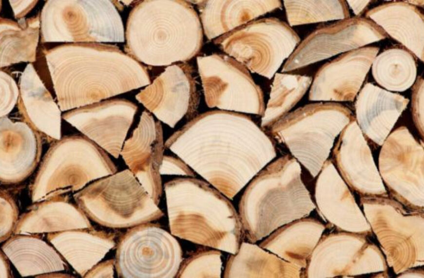 Лісова промисловість рф в глибокій кризі