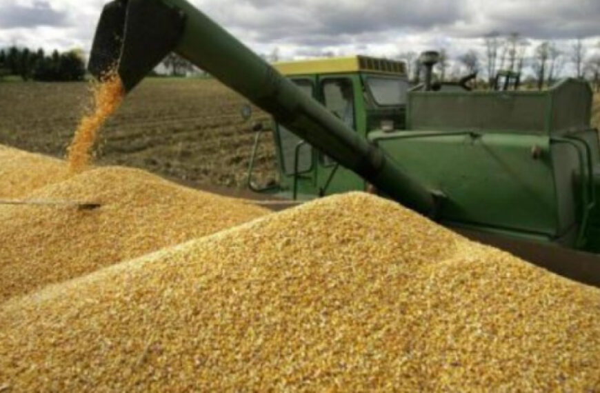 рф спіткала аграрна криза