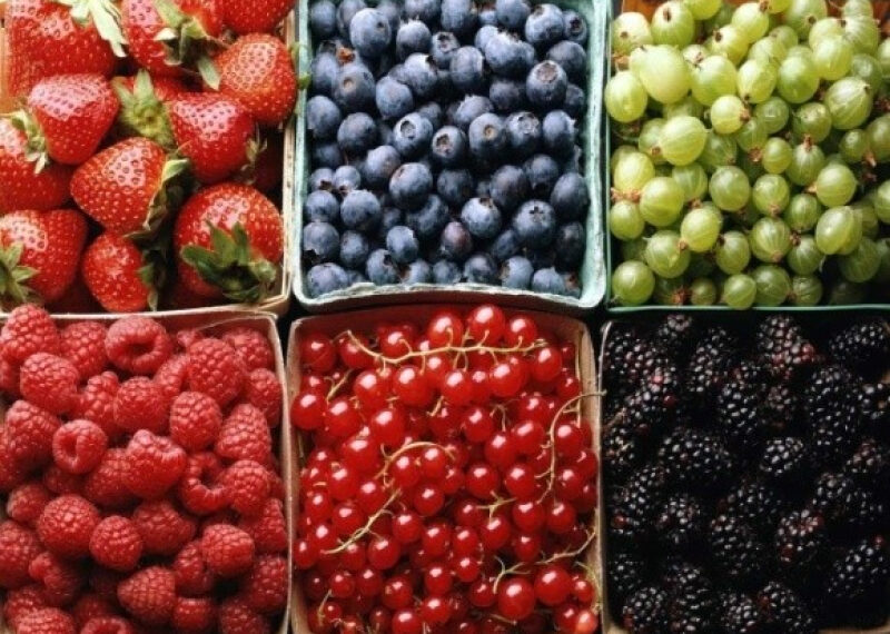 В Україні стартував сезон лохини