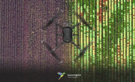 Віддалене виявлення сорних рослин.