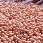 Соя: способи зберігання