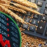 Період знижених цін: чи варто чекати подальшого здешевлення на українському ринку?