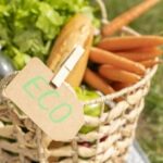 Україна серед лідерів-експортерів органіки в ЄС: що продаємо?