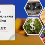 Відновлювальний проєкт: чи довіряють вкладники агросектору під час війни