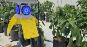 Світлотехніка в допомогу сільгоспкультурам проти паразитів