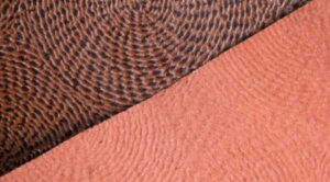 Індія: Біошкіра з томатних покидьків.