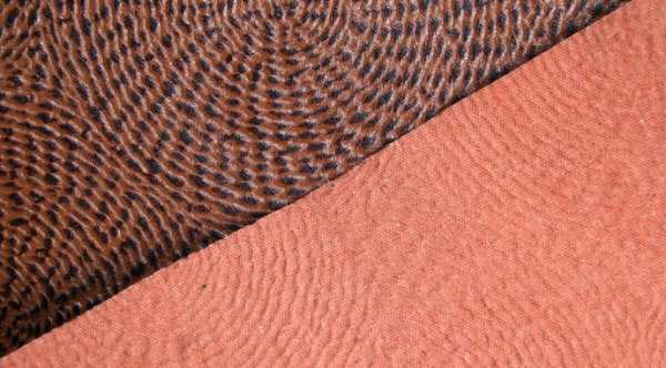 Індія: Біошкіра з томатних покидьків.