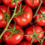 Вартість українських помідорів зросла.