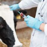 Закон про адаптацію ветеринарної сфери до норм Євросоюзу затверджено.