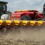 Родина Бушів успішно випробувала прецизійний посів і здолала засуху.